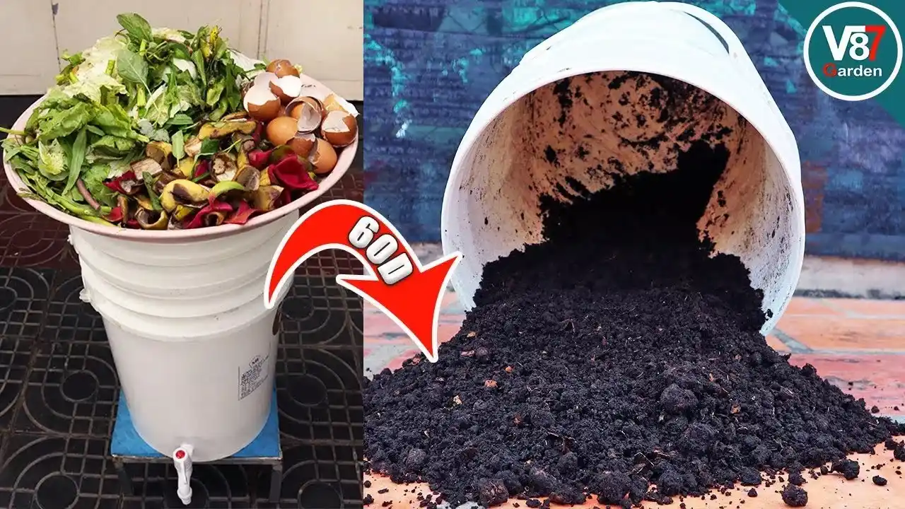 DIY Compost Bin Hack Using Kitchen Scraps